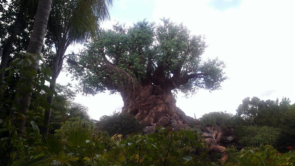 The Tree of Life