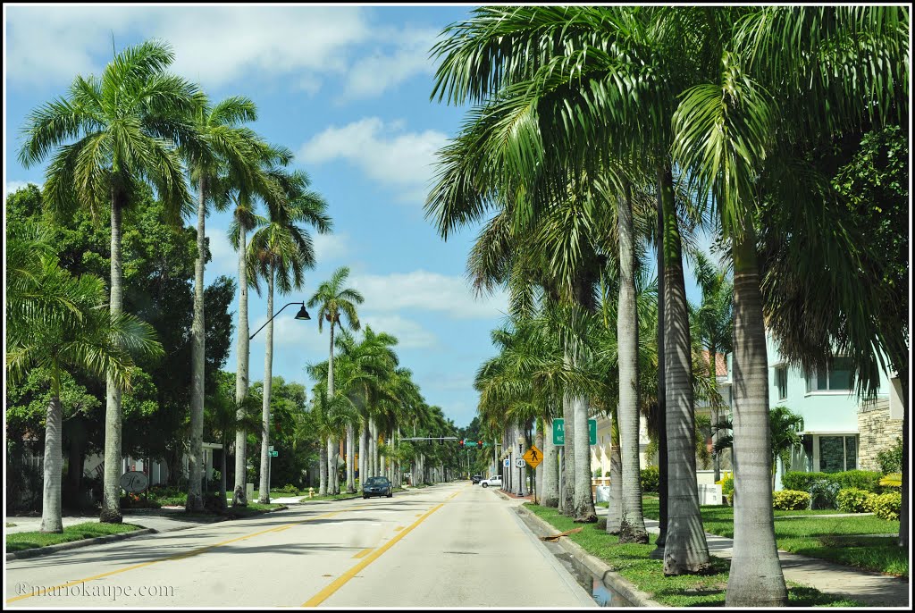 Fort Myers - Florida - USA