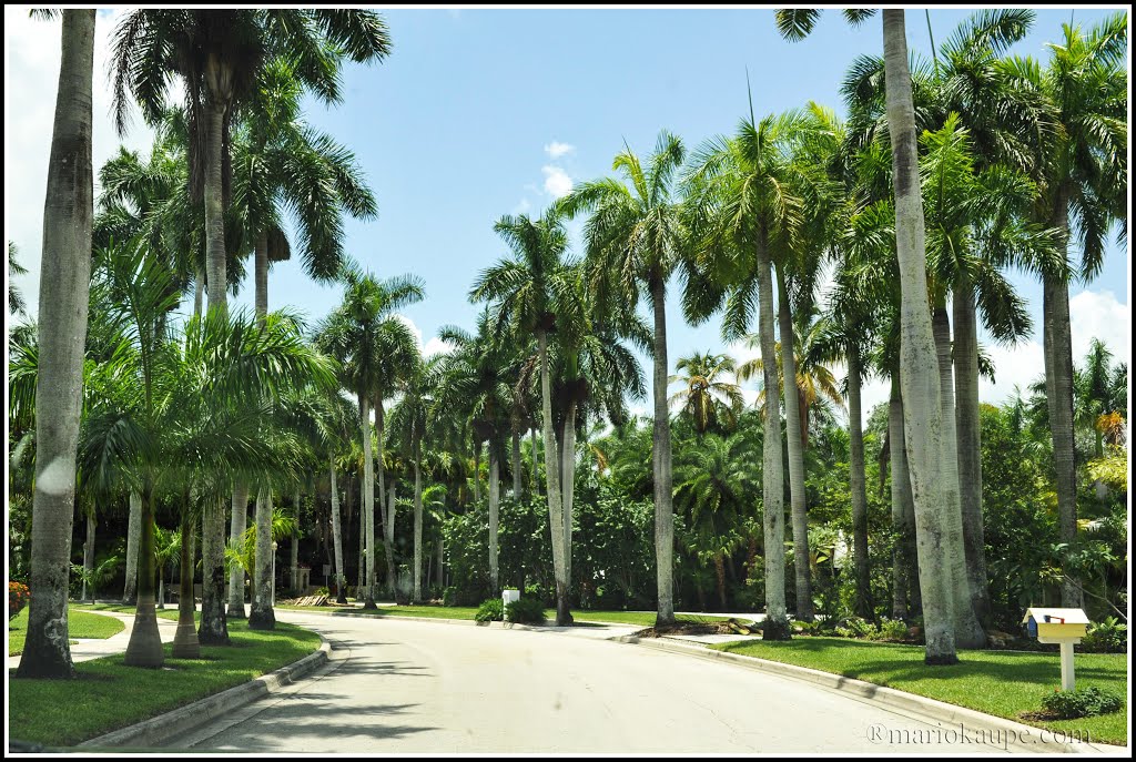 Fort Myers - Florida - USA