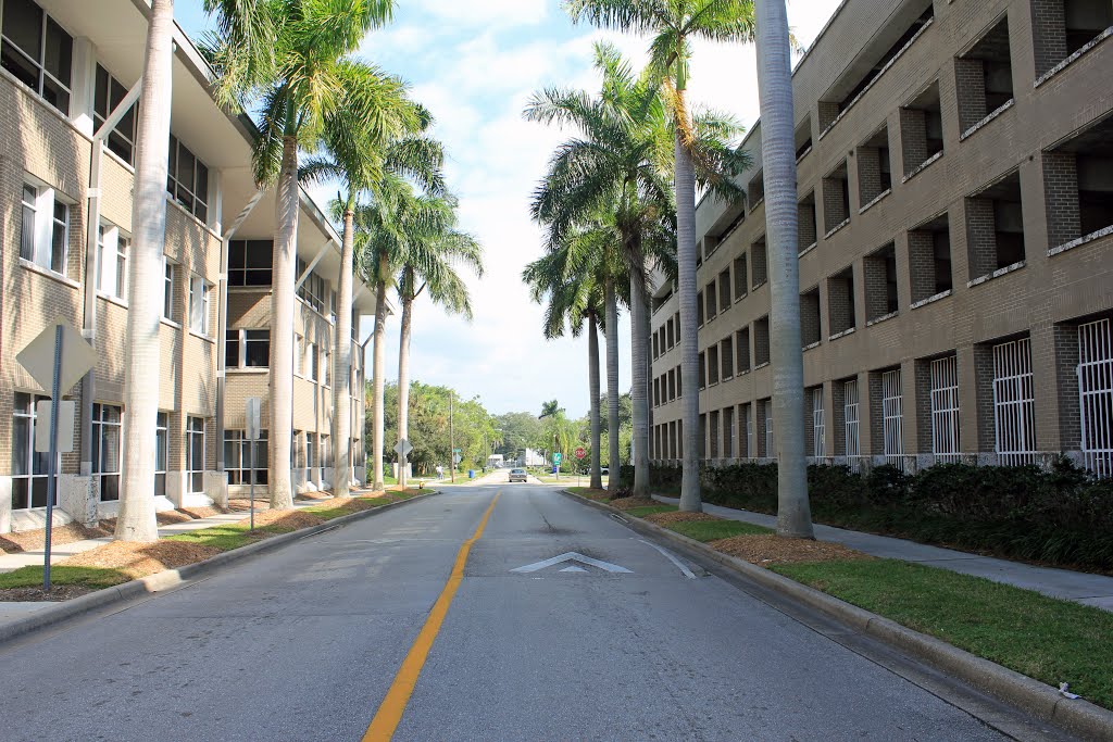 Victoria Avenue