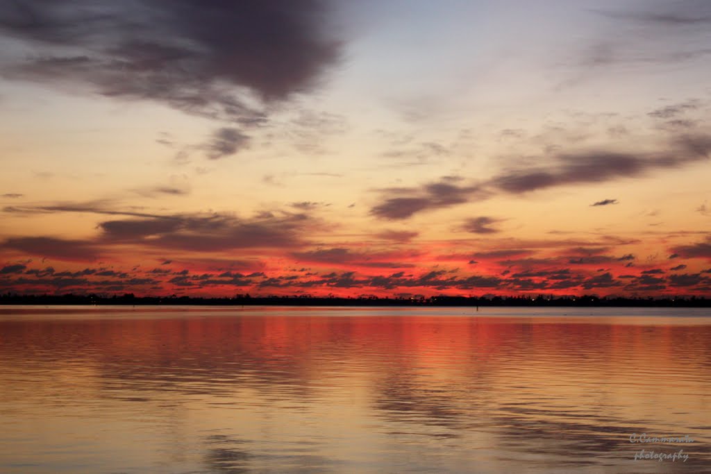 looking east from the manatee center