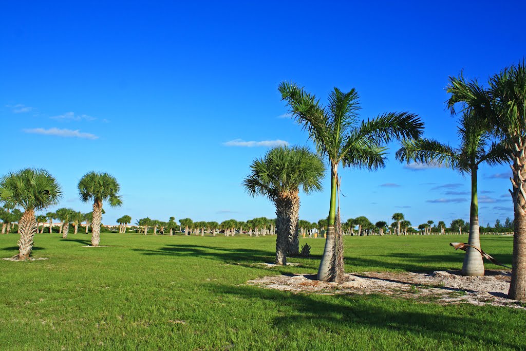 harbor point park