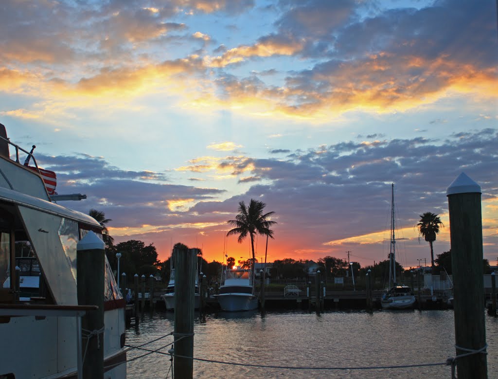 marina sunset