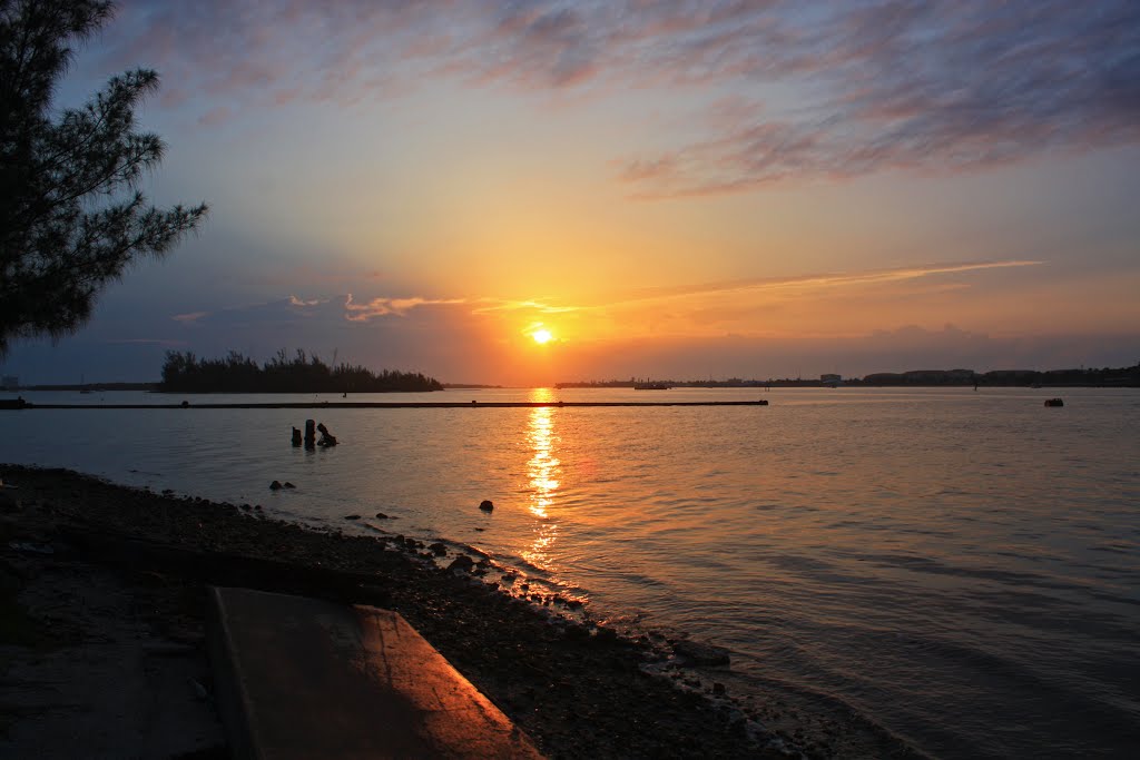 sunrise over the turning basin