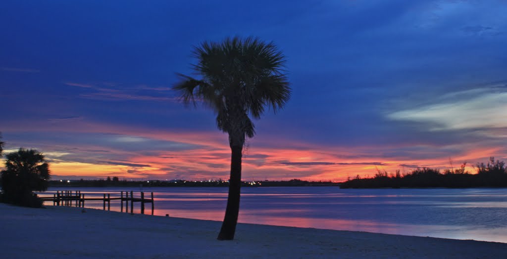 palm tree sunset