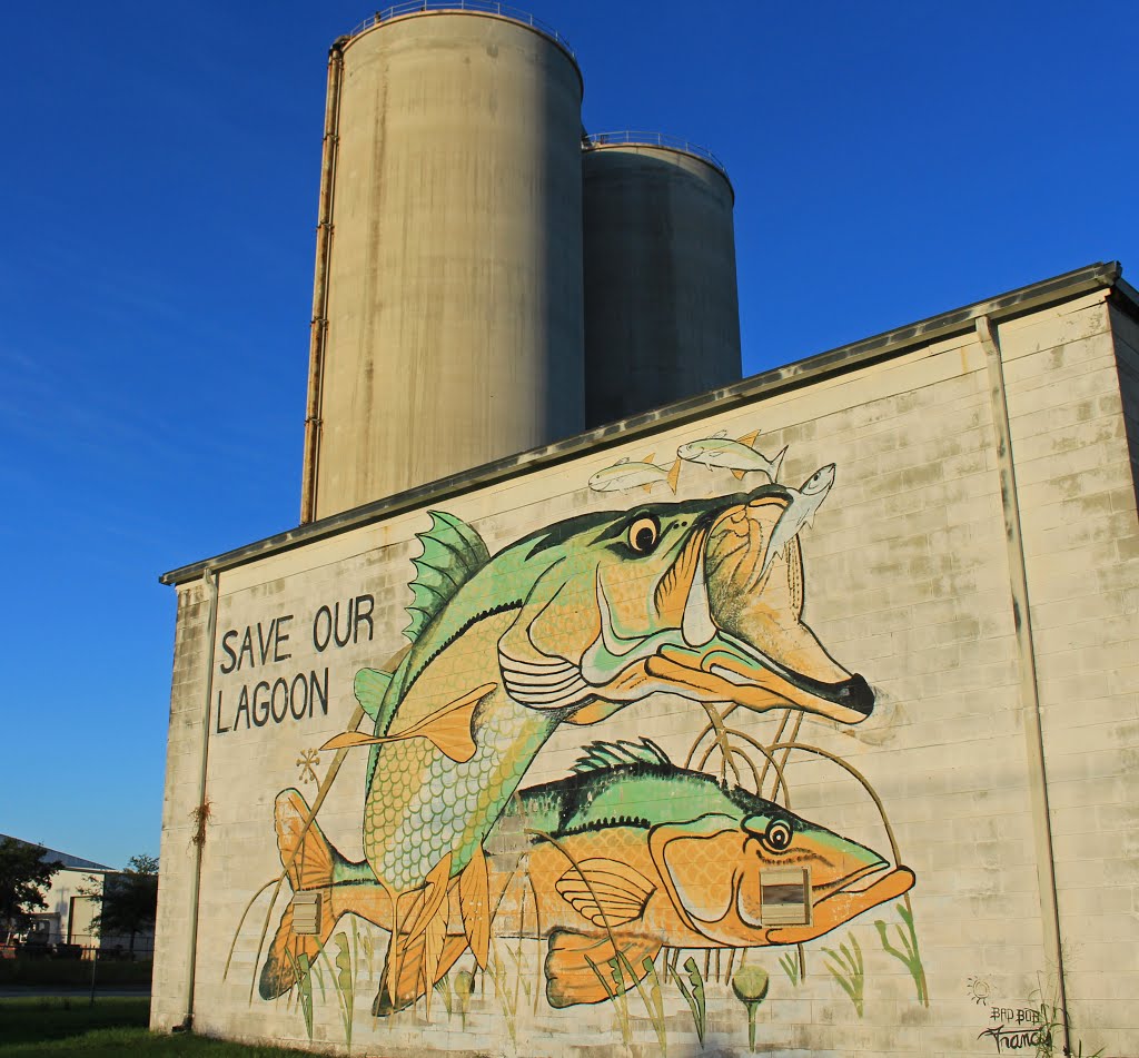 snook mural-save our lagoon