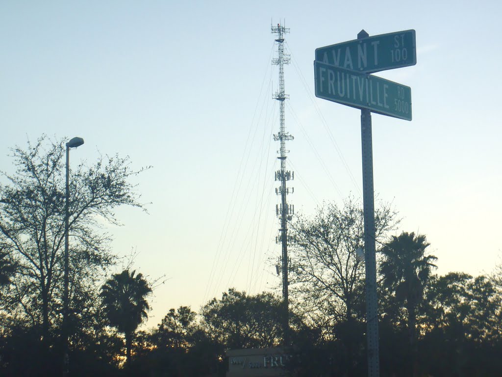 Fruitville late afternoon