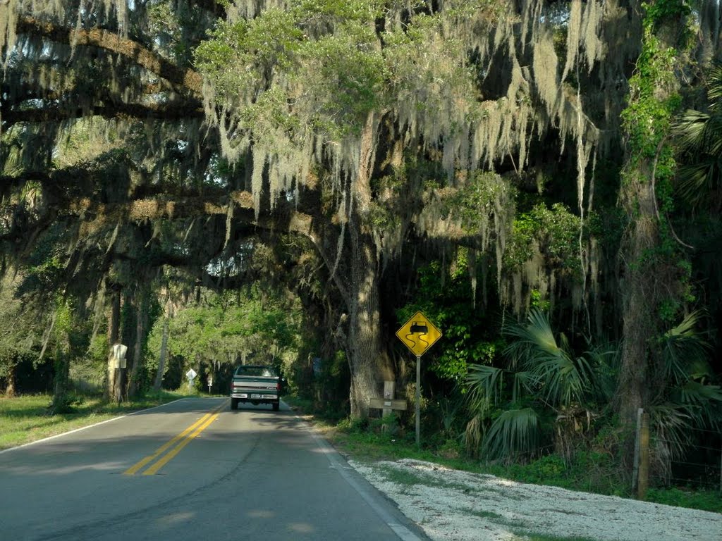 Fort Dade Road