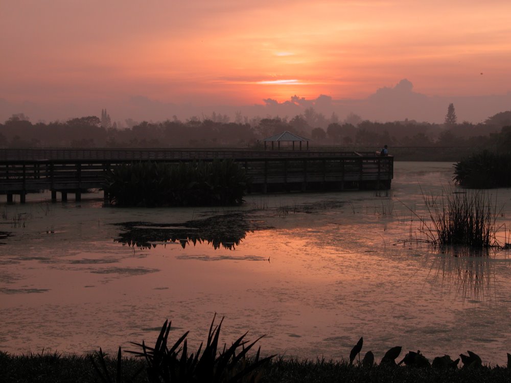 Wakodahatchee Wetlands Sunrise