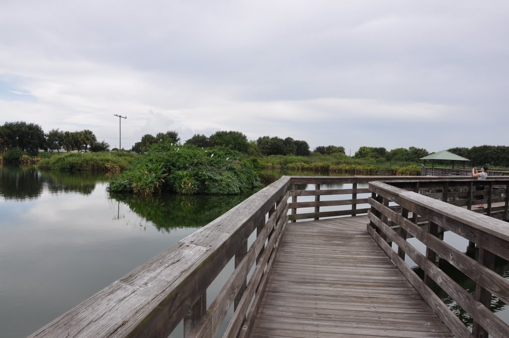 Walkway through the Wakodahatchee Wetlands - H&M