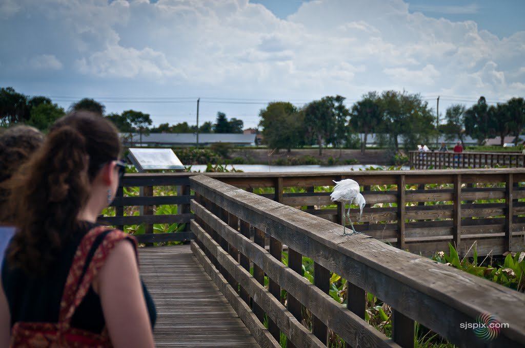 Wakodahatchee Wetlands, 13026 Jog Rd, Delray Beach, FL 33446