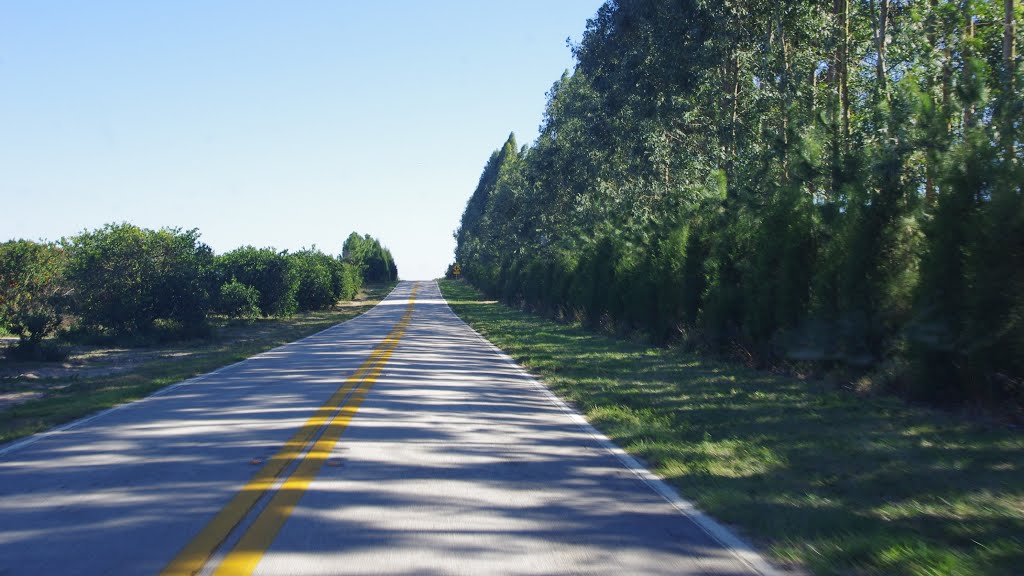 Babson Park