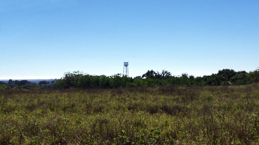 2013 12-18 Lake Wales, Fl - Hunt Brothers Rd