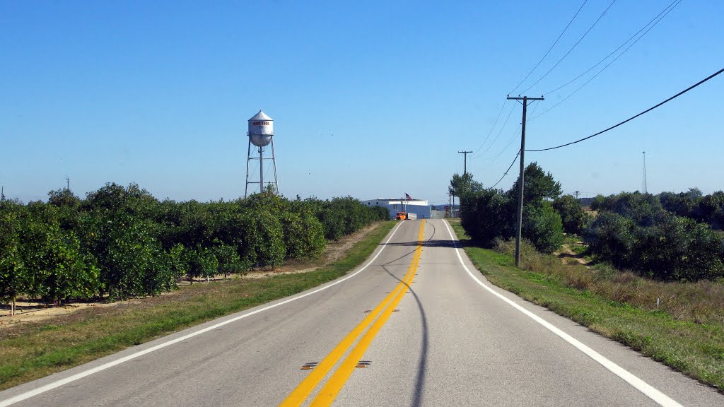 2013 12-18 Lake Wales, Fl - Hunt Brothers Rd