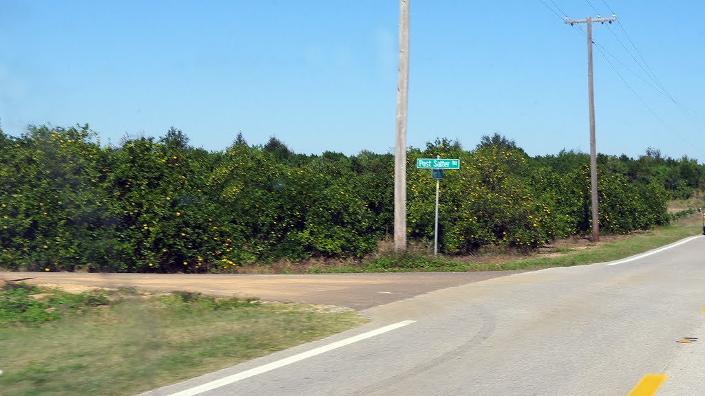2013 12-18 Lake Wales, Fl - Hunt Brothers Rd & Post Salter Rd