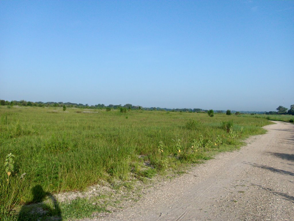 Open fields