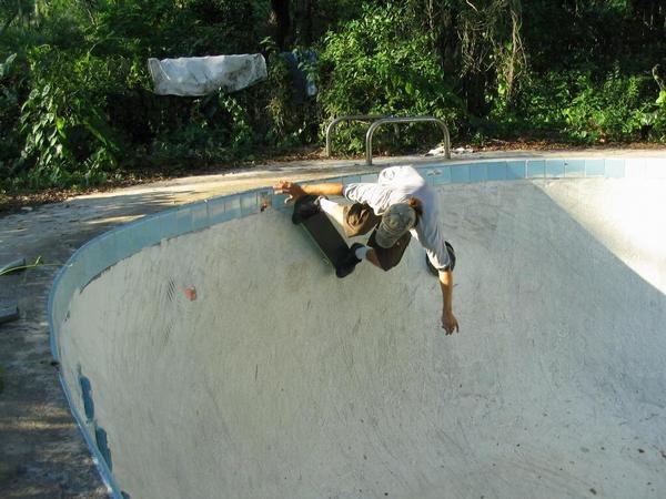 old pool in the woods