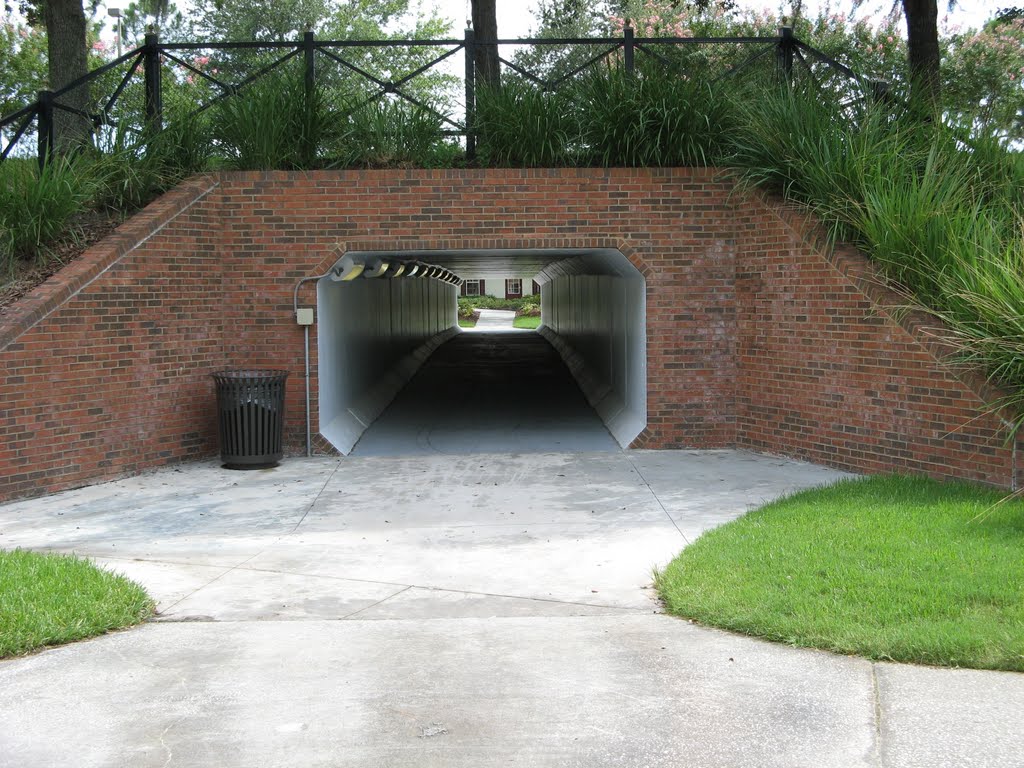Tunnel under road