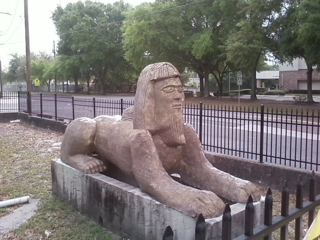 sphynx