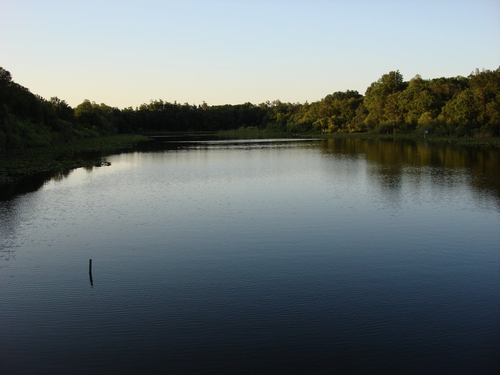 ATARDECER EN AL LOPEZ PARK