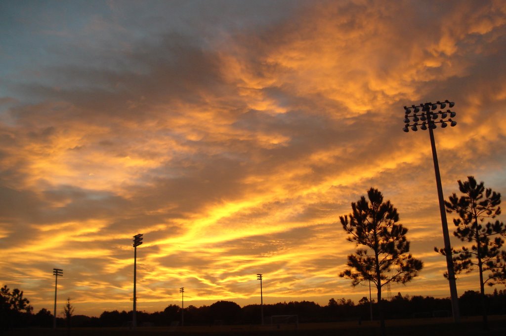 Ed Radice Park, Christmas morning