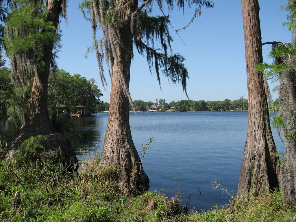 Pretty Lake  Hutchison Rd  Lutz Tampa