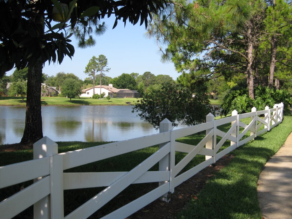 Hutchison Road, Keystone area Lutz  Tampa
