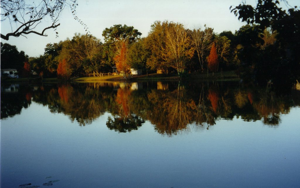 Cedar Lake-Autumn