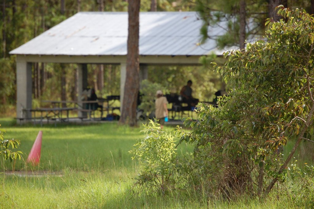 Haggarty Shelter @ SHSR