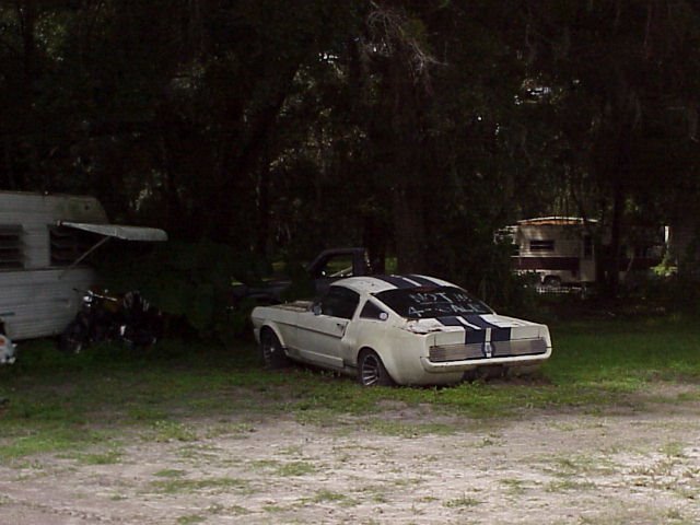1966 Shelby GT350 in trailer park, NOT FOR SALE but it was, Brooksville Fla (2003)