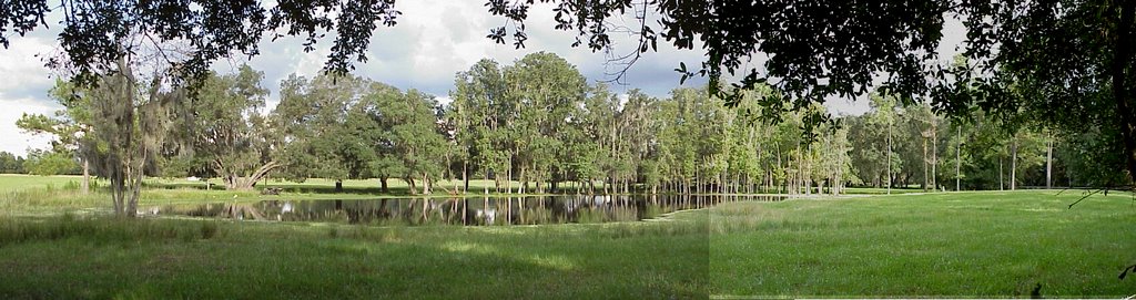 cypress pond, Saturn road, Hernando County, Florida (9-4-2002)