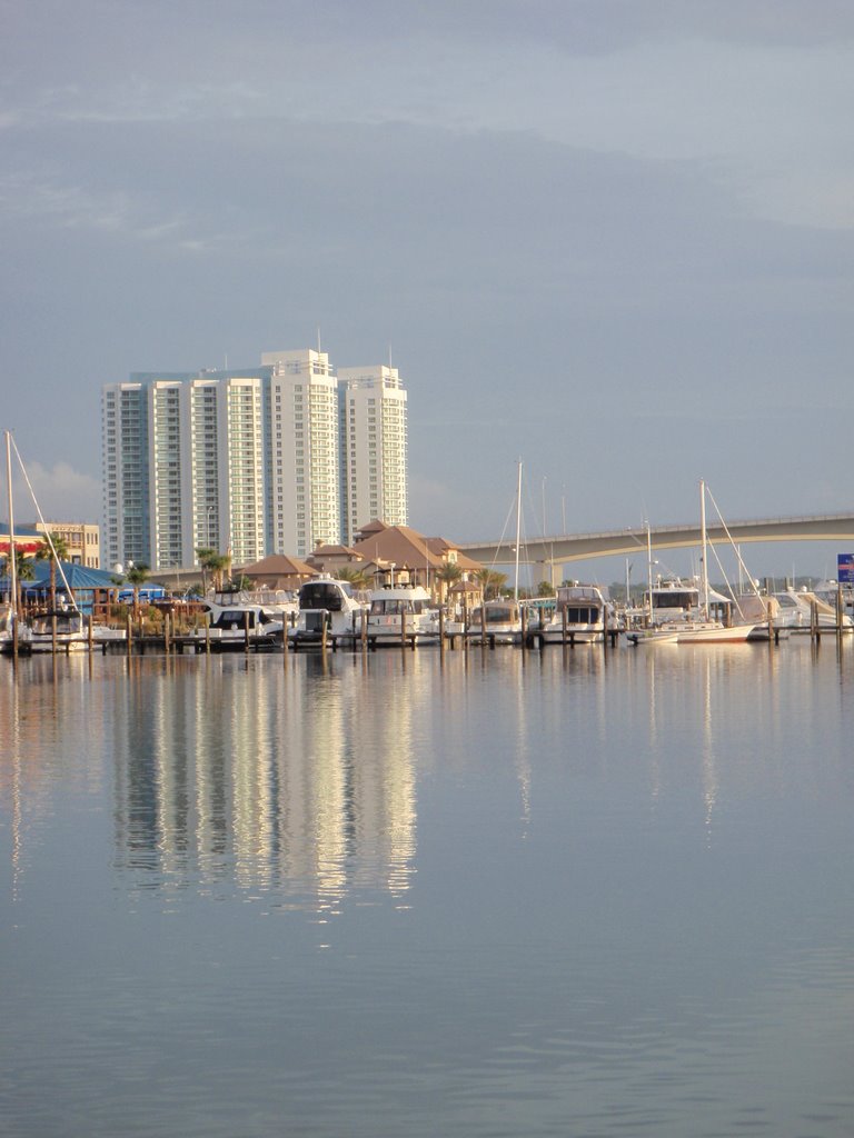 near daytona