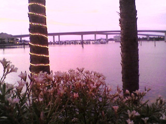 Looking NE towards Seabreeze bridge form intercoastal
