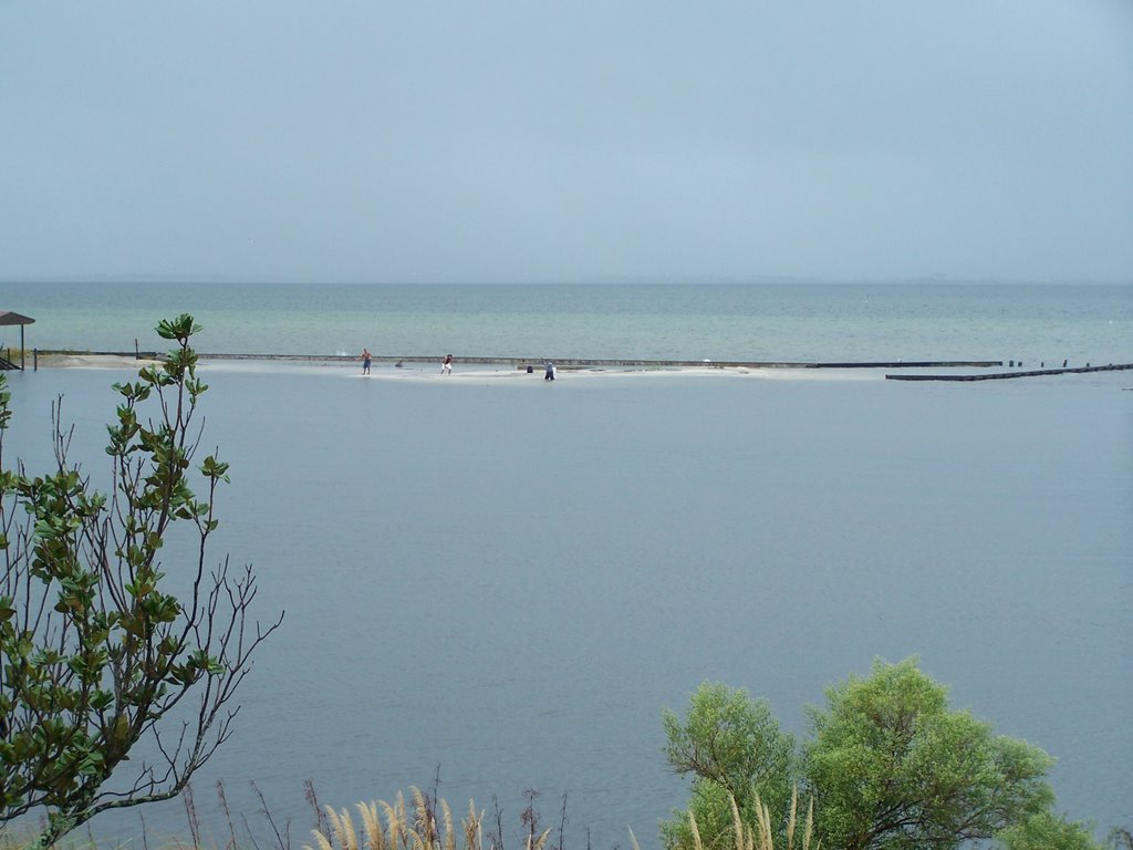 Tyipical hurricane water level