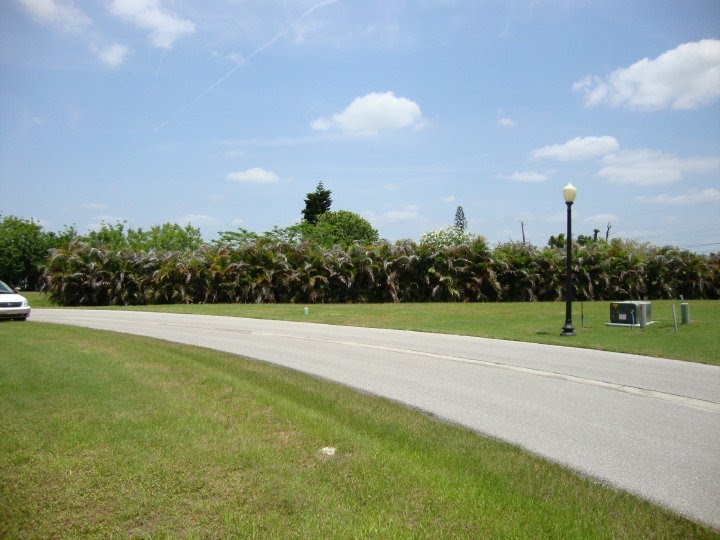 punta gorda