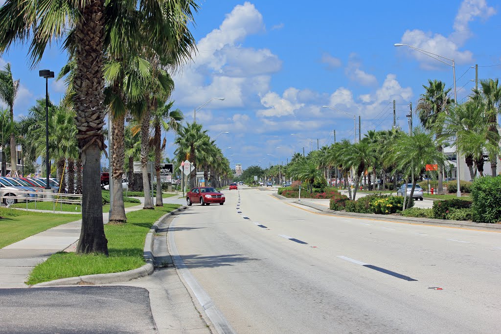 US 41