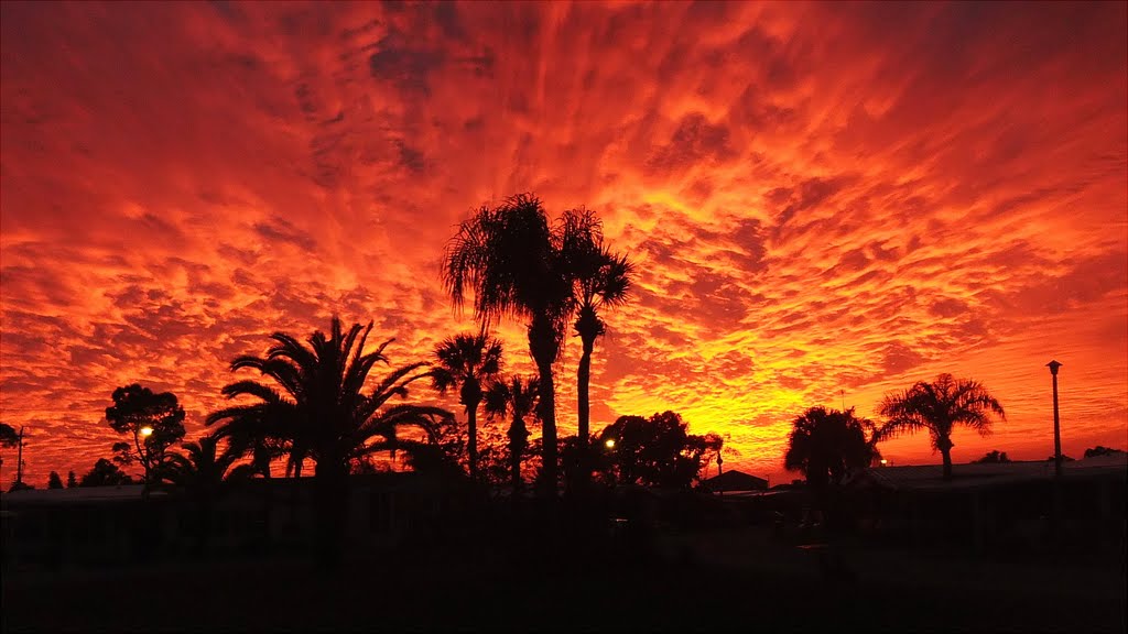 Florida Sunset