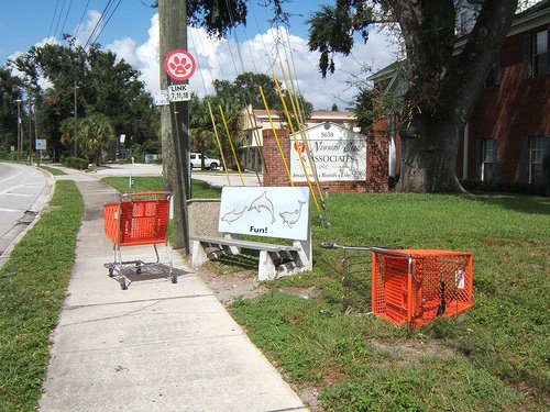 Fun Bench