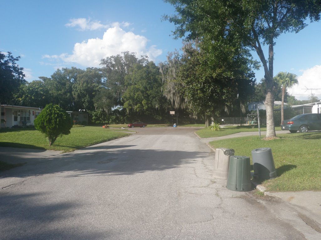 view of Lacona Drv