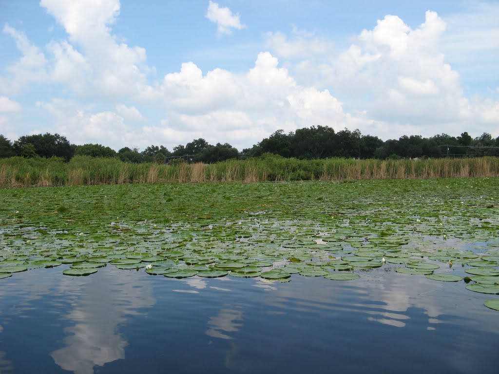 Lake Conway canal