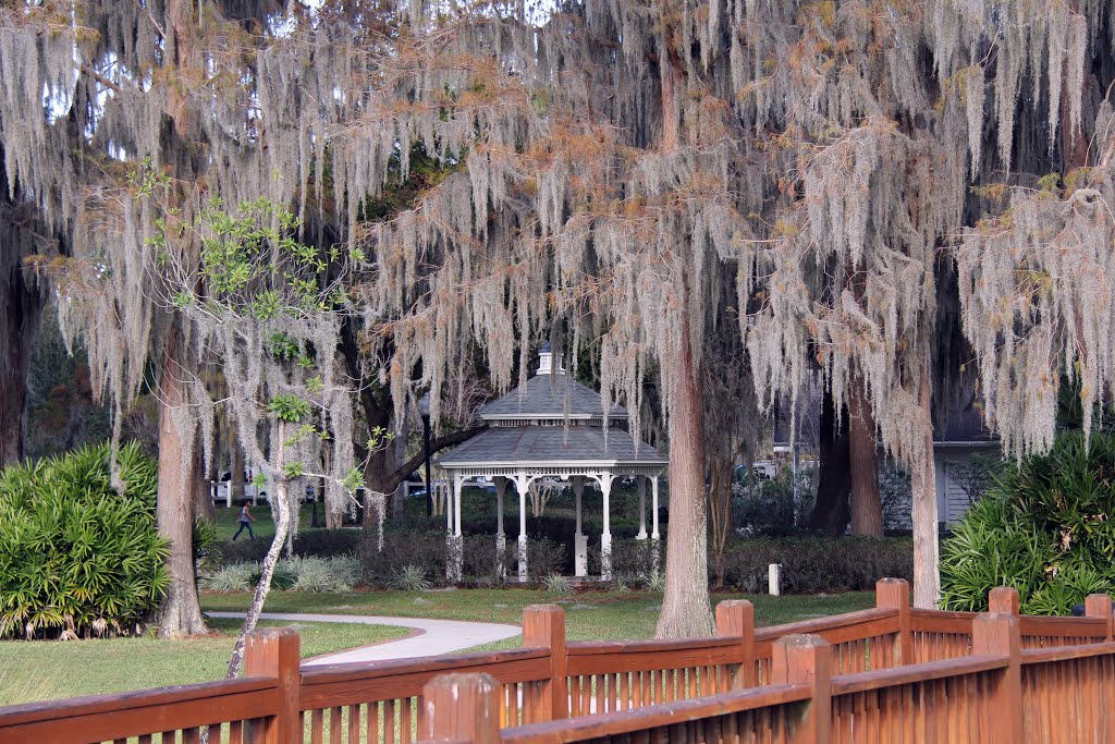 Cypress Grove Park
