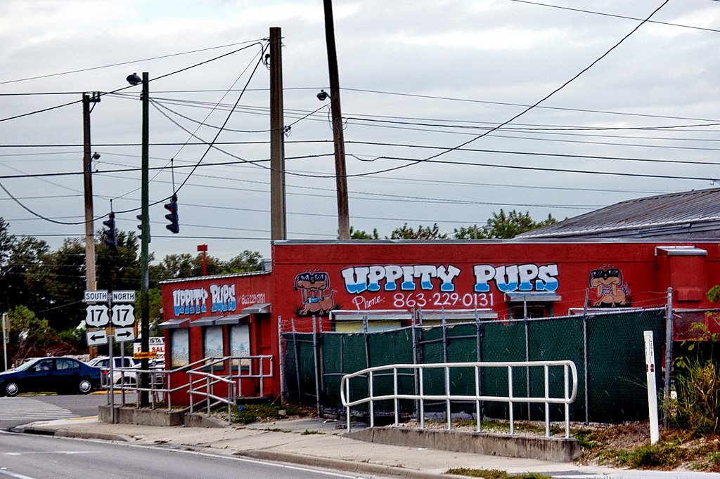 2008 Uppity Pups Winer Haven