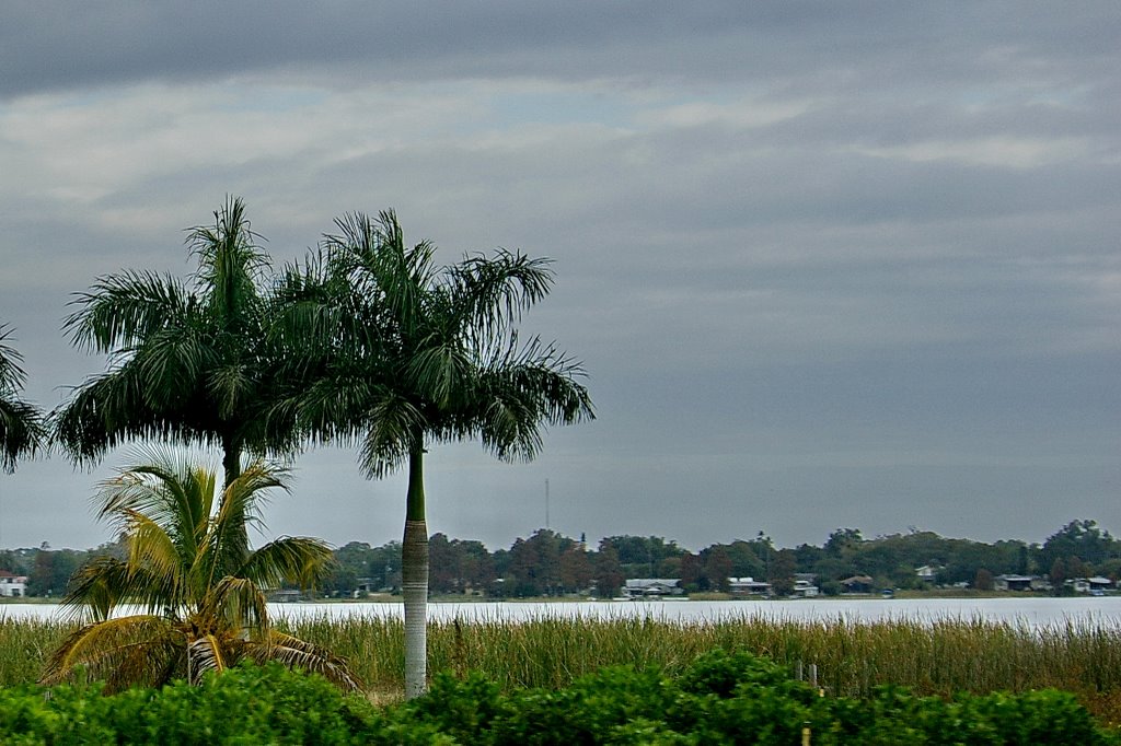 2008 Lake Shipp Dr. Winter Haven