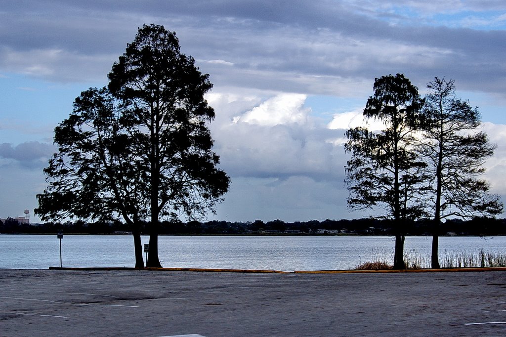 2008 Lake Shipp Dr. & 655 Winter Haven