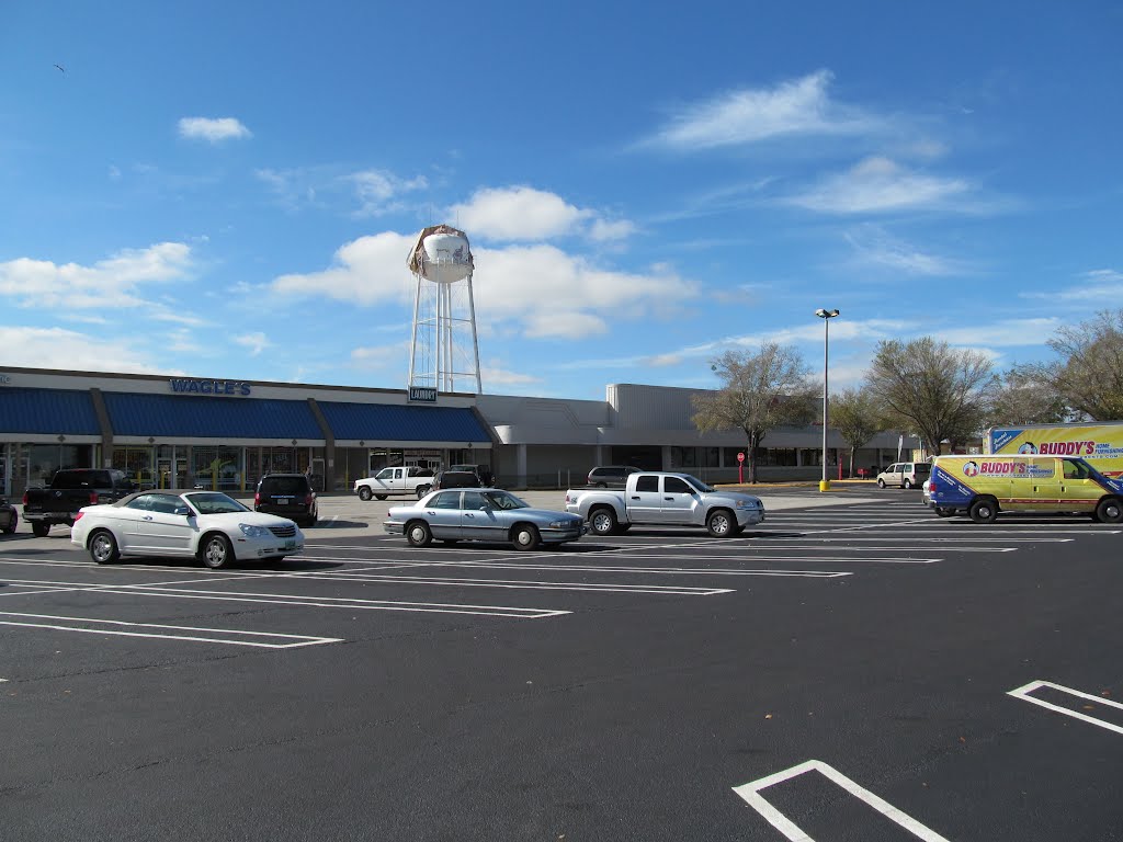 2012, Winter Haven, FL - water tower being repainted