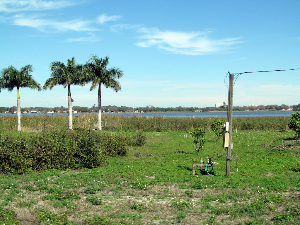 2012, Winter Haven, FL - view from Co. Rd. 655 toward Lake Shipp