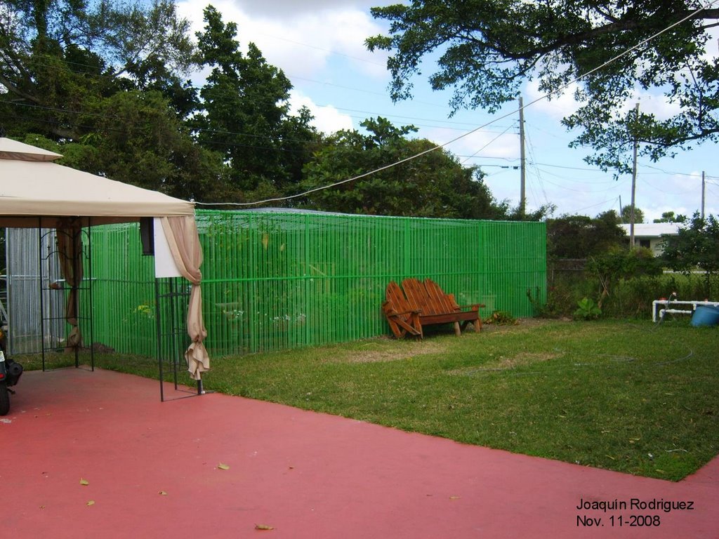 La pajarera de Frank