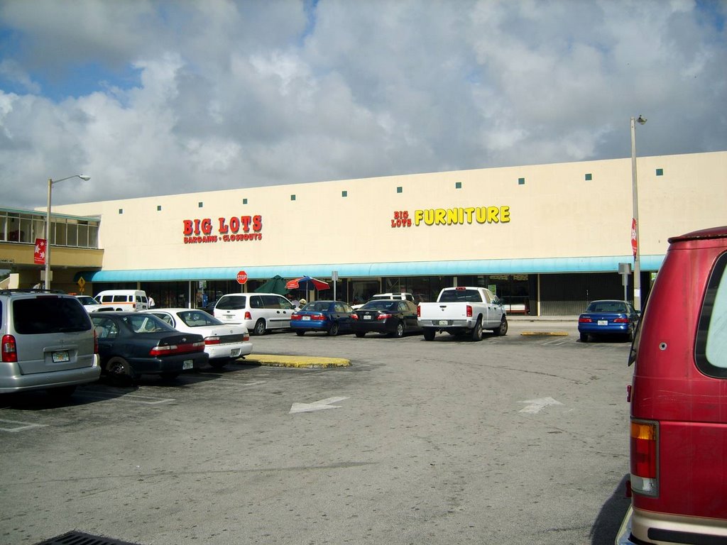 Big Lots Store