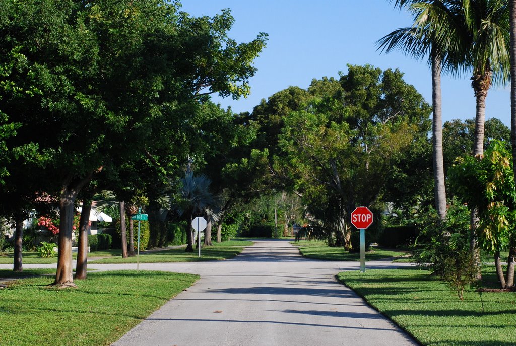 Miami Shores Street