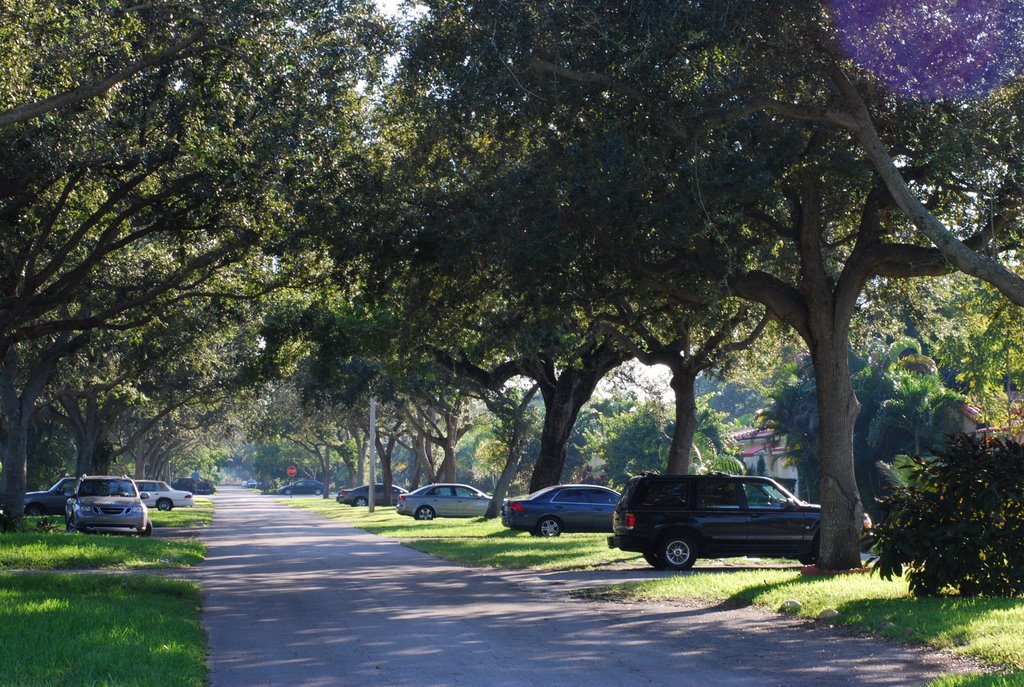 Miami Shores Street